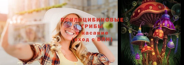 ПСИЛОЦИБИНОВЫЕ ГРИБЫ Няндома