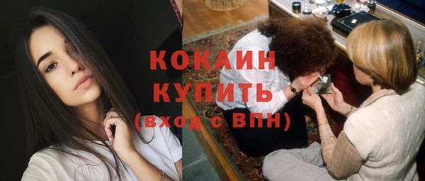 ПСИЛОЦИБИНОВЫЕ ГРИБЫ Няндома