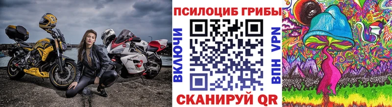 Псилоцибиновые грибы Magic Shrooms  дарнет шоп  Ильский 